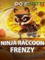 Ninja Raccoon Frenzy game cover