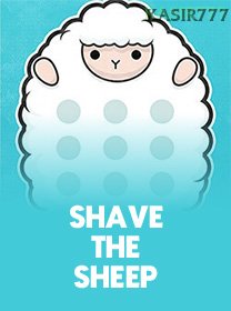 Shave The Sheep game cover